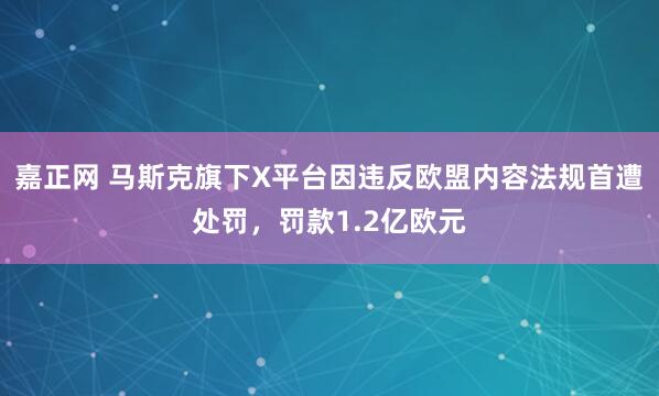 嘉正网 马斯克旗下X平台因违反欧盟内容法规首遭处罚，罚款1.2亿欧元