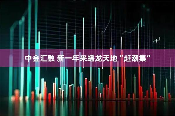 中金汇融 新一年来蟠龙天地“赶潮集”