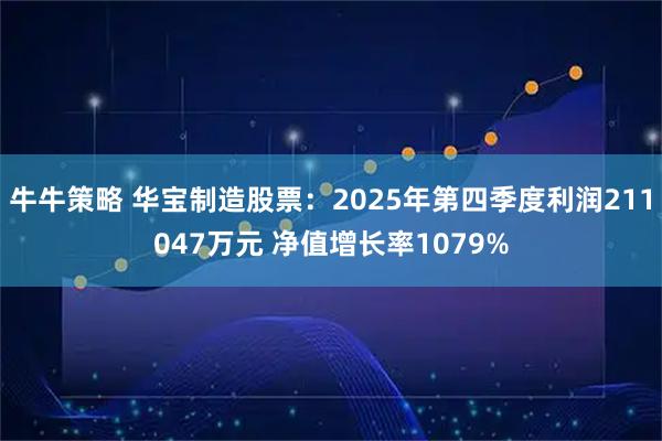 牛牛策略 华宝制造股票：2025年第四季度利润211047万元 净值增长率1079%