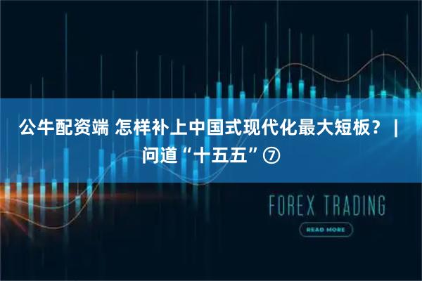 公牛配资端 怎样补上中国式现代化最大短板？ | 问道“十五五”⑦