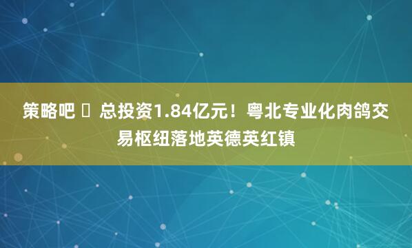 策略吧 ​总投资1.84亿元！粤北专业化肉鸽交易枢纽落地英德英红镇